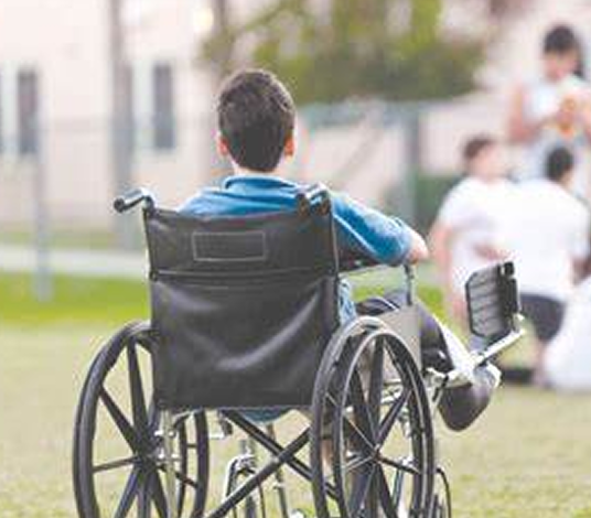 ذوو الإعاقة (نظام سند)